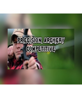 Precision Archery: Competitive Steam Key GLOBAL
